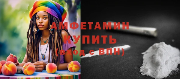 дживик Богородицк