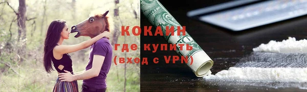 гидропоника Бородино
