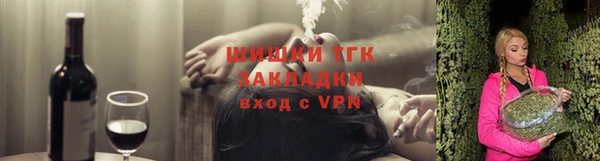 гидропоника Бородино