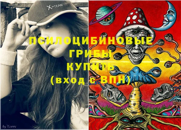 амф Бугульма