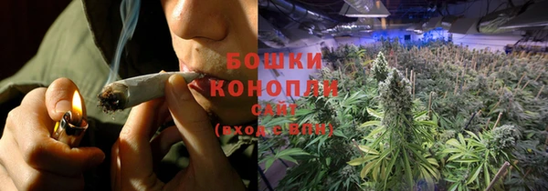 гидропоника Бородино